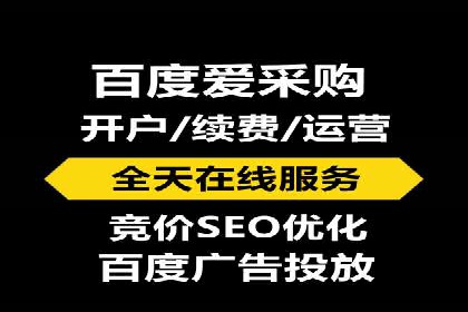 案例分享：百度竞价排名助力企业实现跨越式发展